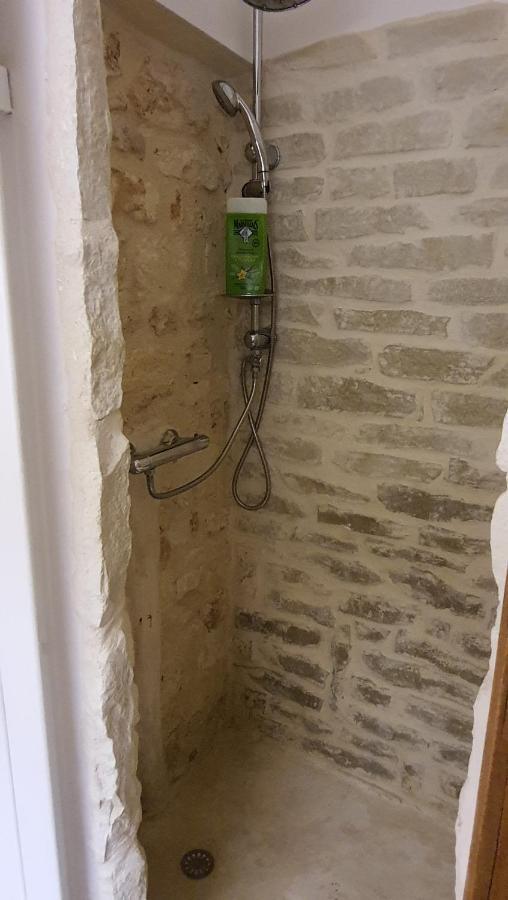 فيلا La Charmentaise Saint-Sulpice-de-Cognac المظهر الخارجي الصورة